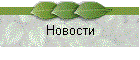 Новости