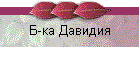 Б-ка Давидия