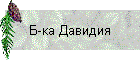 Б-ка Давидия