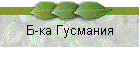 Б-ка Гусмания