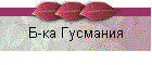 Б-ка Гусмания