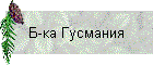 Б-ка Гусмания