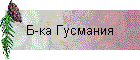 Б-ка Гусмания