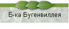 Б-ка Бугенвиллея