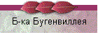 Б-ка Бугенвиллея