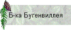 Б-ка Бугенвиллея