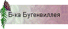 Б-ка Бугенвиллея