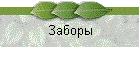 Заборы