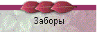 Заборы