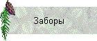 Заборы